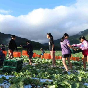 長野県川上村での夏合宿は今年で3回目になります。