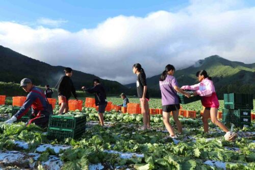 長野県川上村での夏合宿は今年で3回目になります。